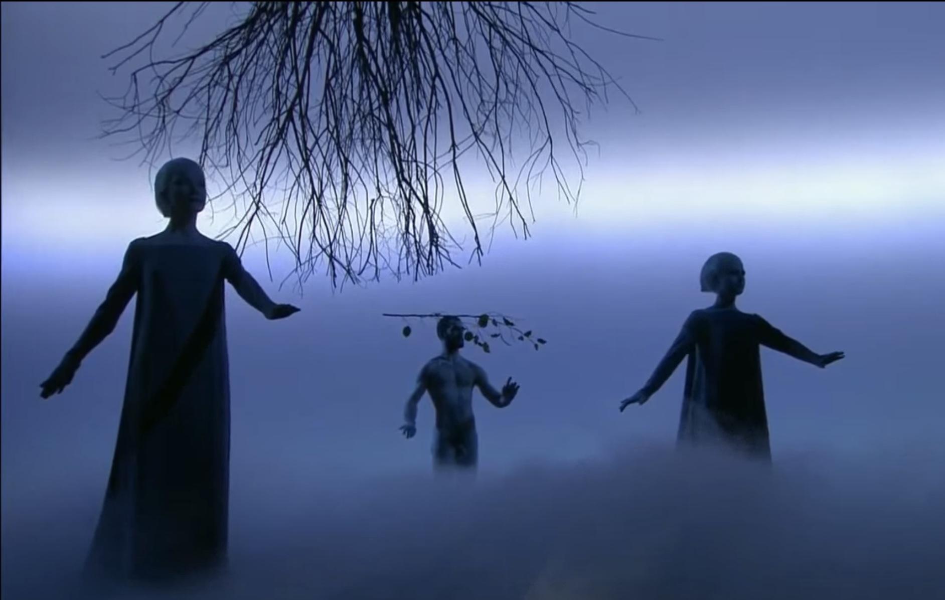 ეკა თხილავას ესე